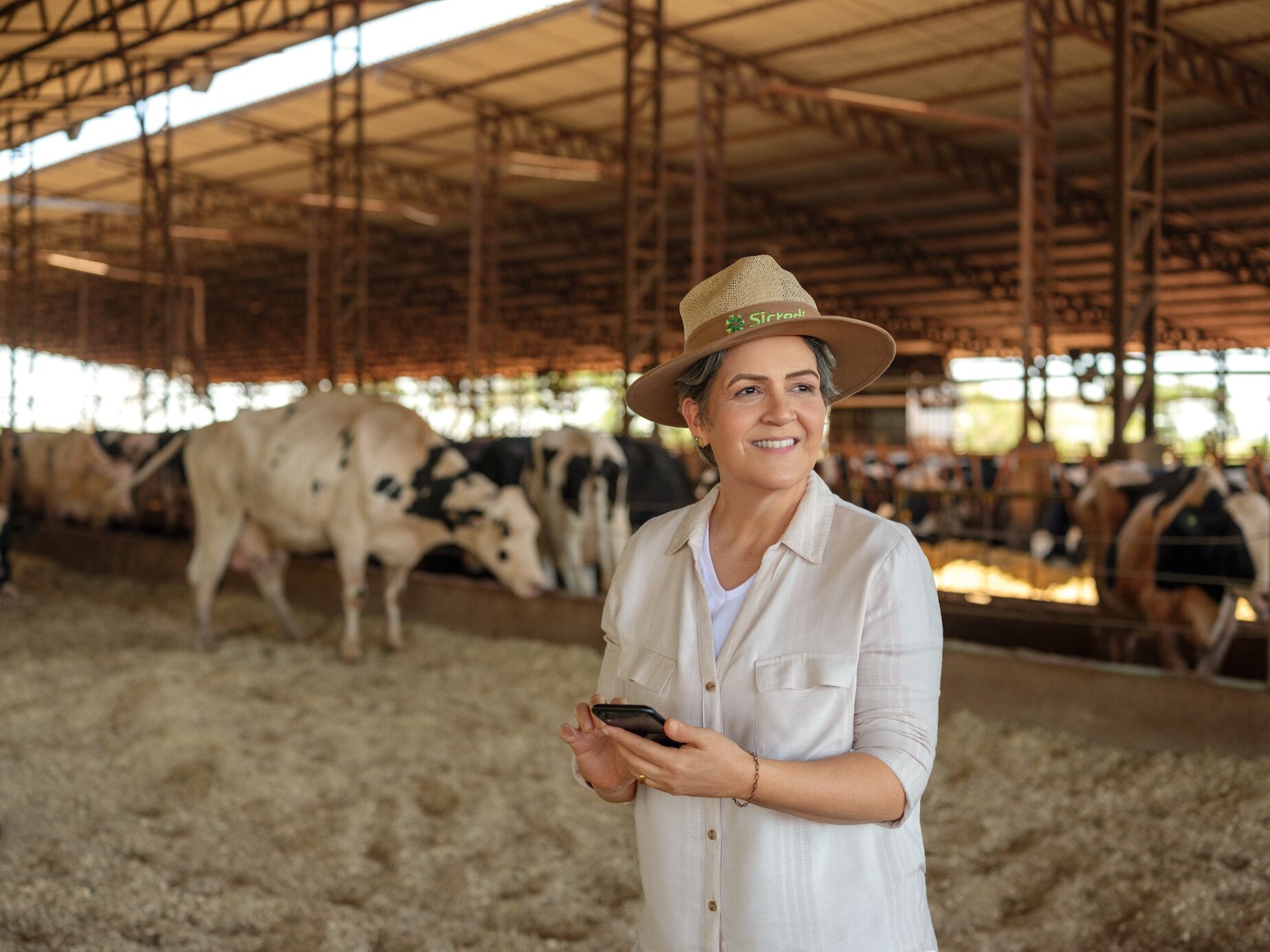 Sicredi Apoia Bovinocultura Com Crédito E Orientações Para O Negócio 3174