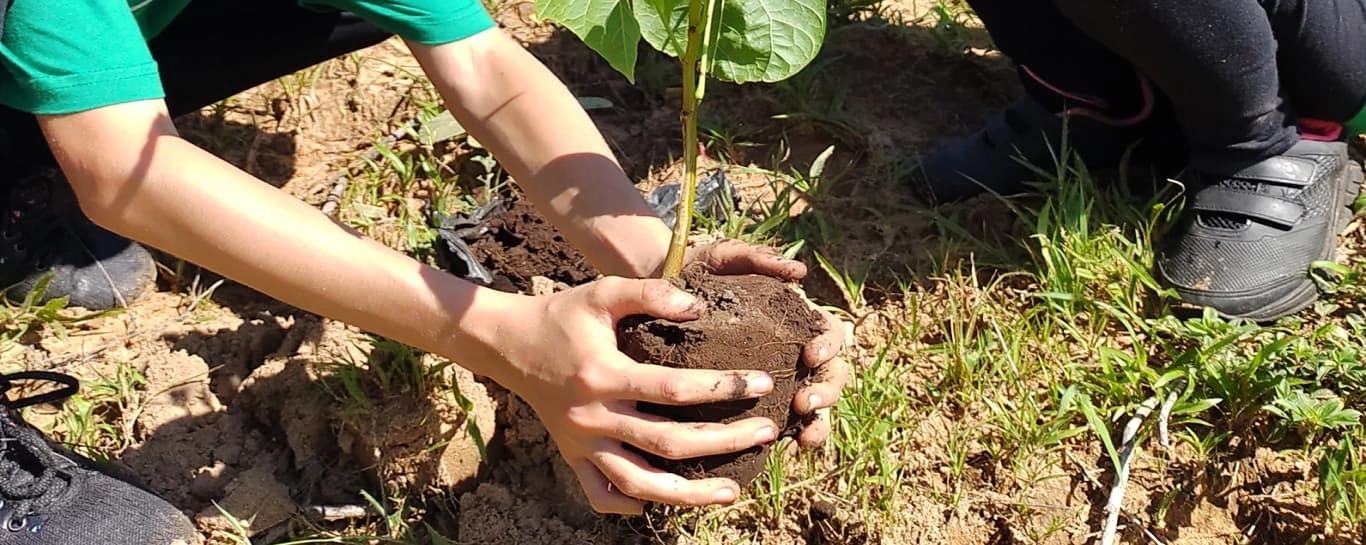 Programas de fidelidade chegam ao agro com força total 